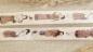 Preview: Design Washi Tape Girls